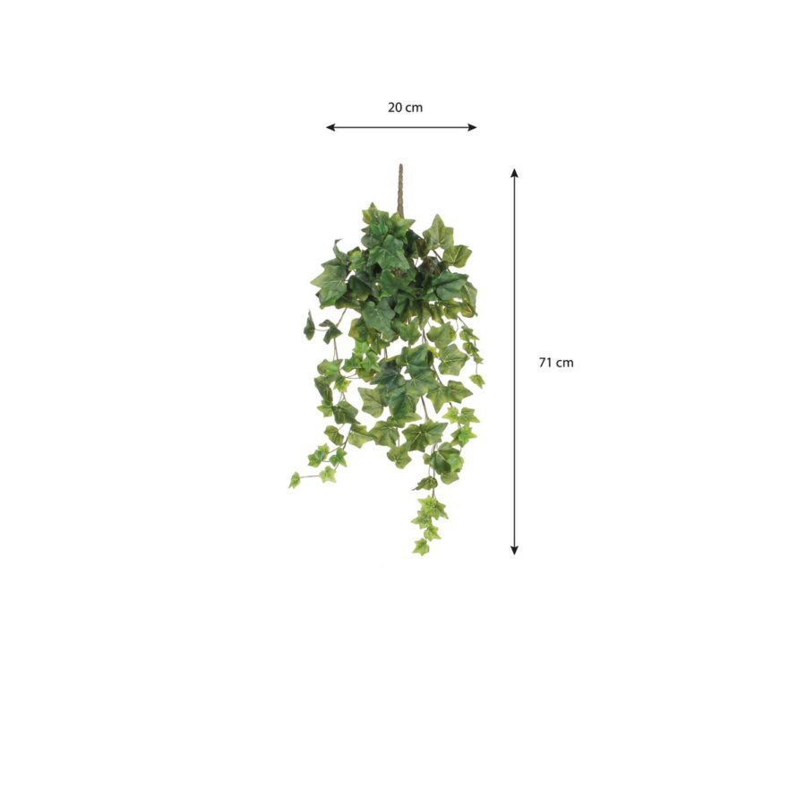 Hedera Kunst Hangplant - H71 cm - Groen - Afbeelding 5
