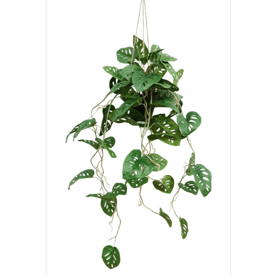 Monstera Monkey Bush Kunst Hangplant 95cm