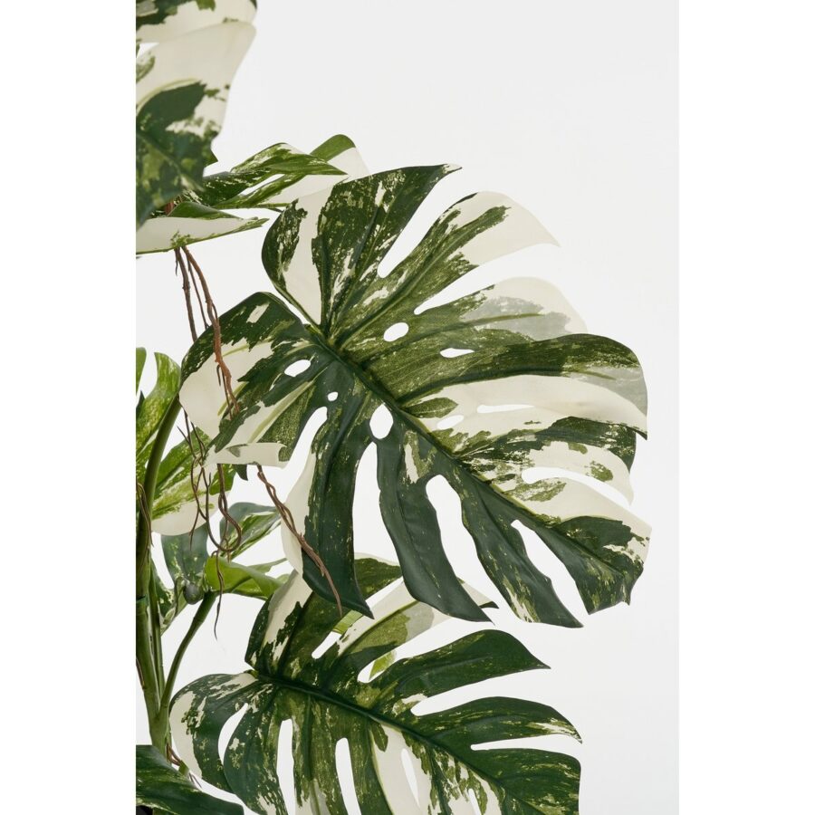 Monsteraboom Kunstplant - H140 x Ø120 cm - Groen - Afbeelding 2