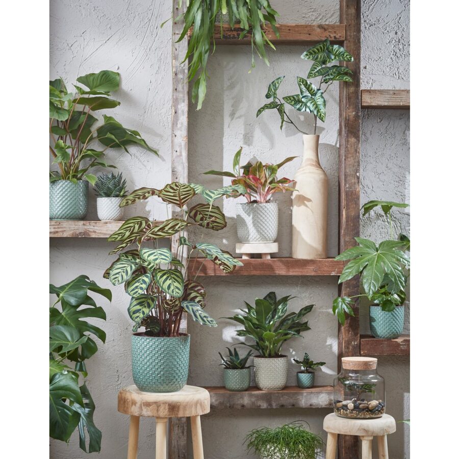 Daan Bloempot - H21 x Ø22 cm - Groen - Afbeelding 4