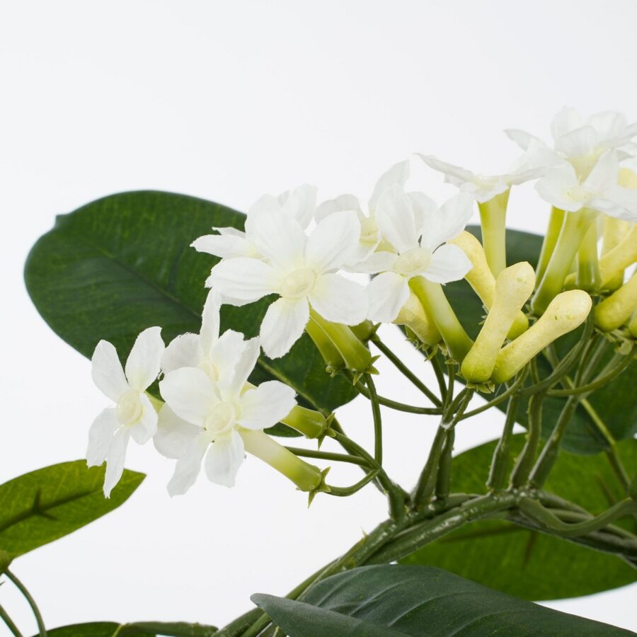 Stephanotis Kunstplant in Bloempot Stan - H50 x Ø40 cm - Wit - Afbeelding 2