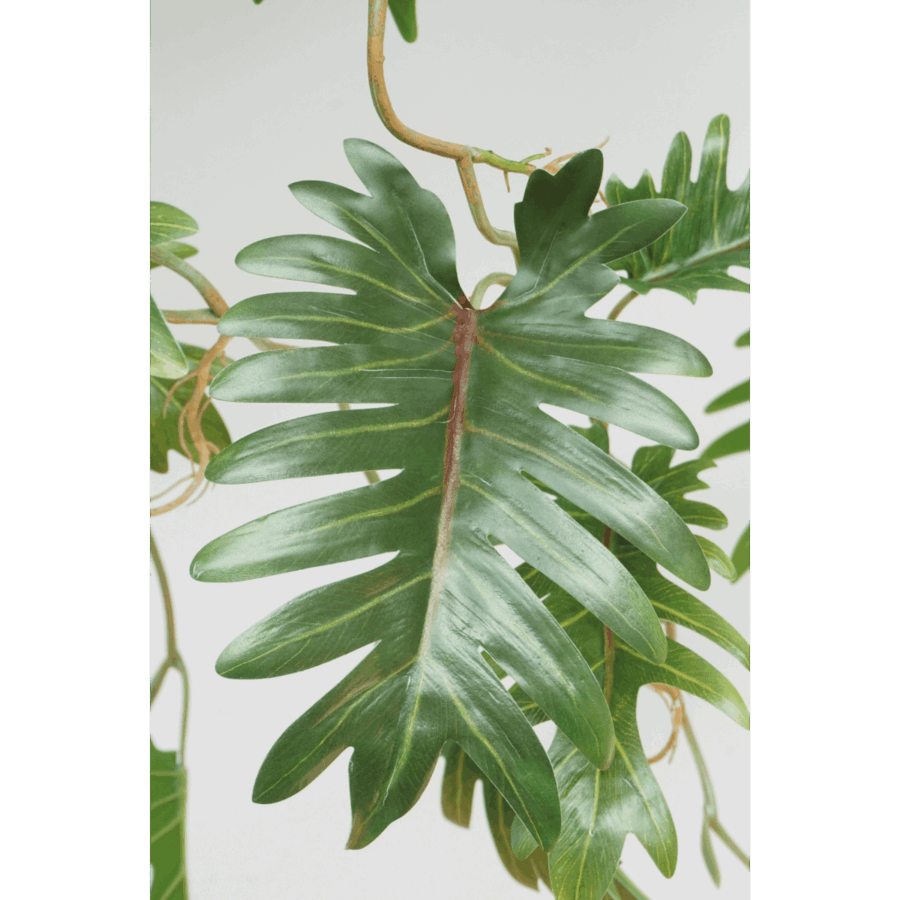 Philodendron Kunst Hangplant 95cm - Afbeelding 4