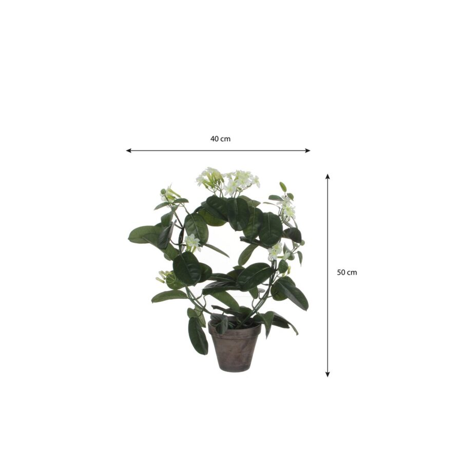 Stephanotis Kunstplant in Bloempot Stan - H50 x Ø40 cm - Wit - Afbeelding 5
