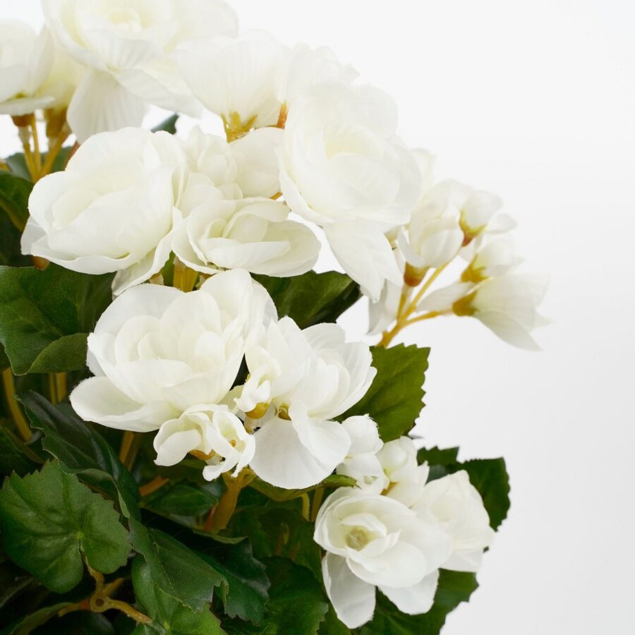 Begonia Kunstplant in Bloempot Stan - H30 x Ø25 cm - Wit - Afbeelding 2