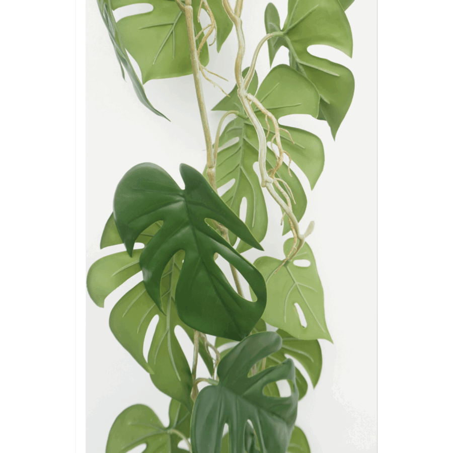 Monstera Kunstslinger 120cm (Guirlande) - Afbeelding 4