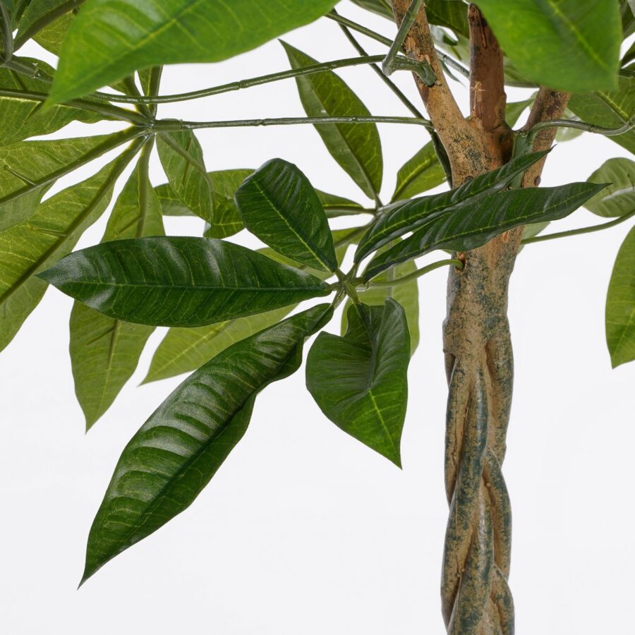 Pachira Kunstplant - H80 x Ø60 cm - Groen - Afbeelding 2