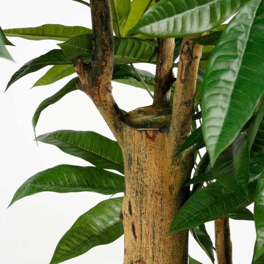 Pachira Kunstplant - H175 x Ø85 cm - Groen - Afbeelding 3