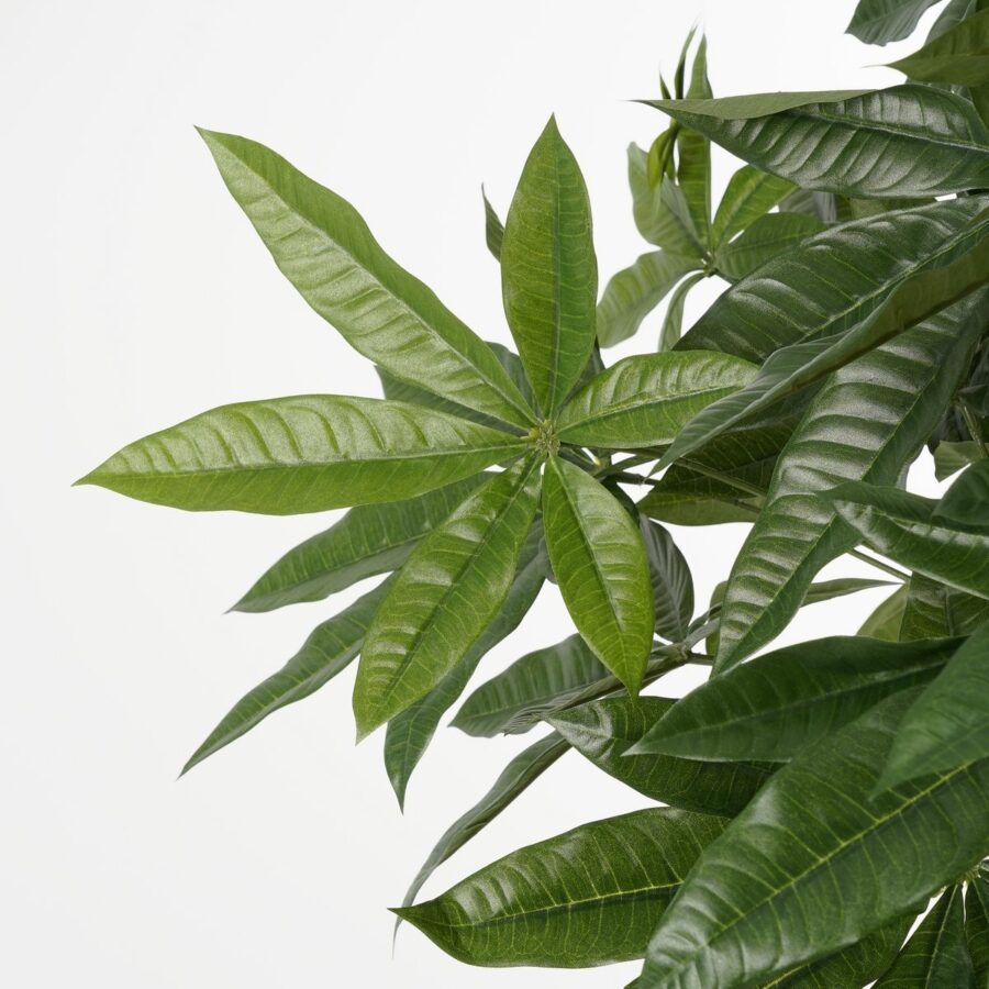 Pachira Kunstplant - H120 x Ø50 cm - Groen - Afbeelding 2