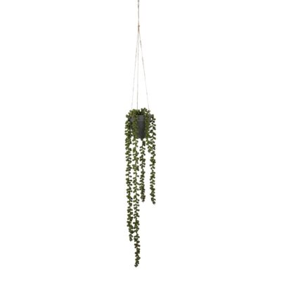Senecio Kunst Hangplant - H56 x Ø9 cm - Groen