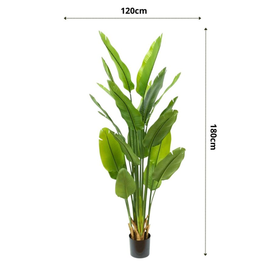 Strelitzia Kunstplant 180cm - Afbeelding 5