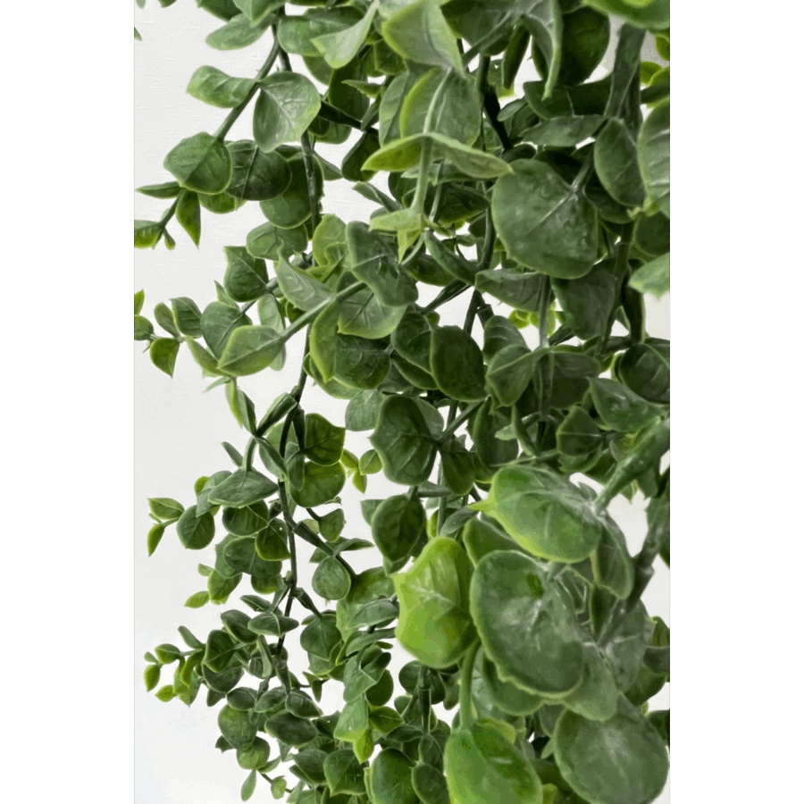 Eucalyptus Kunst Hangplant 60cm - Afbeelding 6