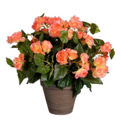 Begonia Kunstplant in Bloempot Stan - H37 x Ø36 cm - Zalmroze