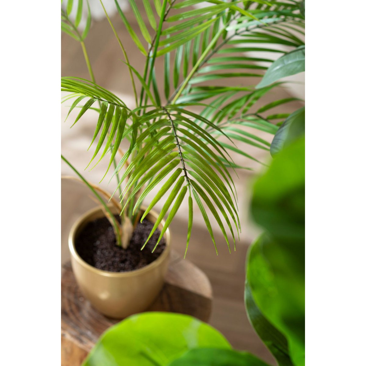 Kunstpalm Chamaedorea 85cm - Afbeelding 5