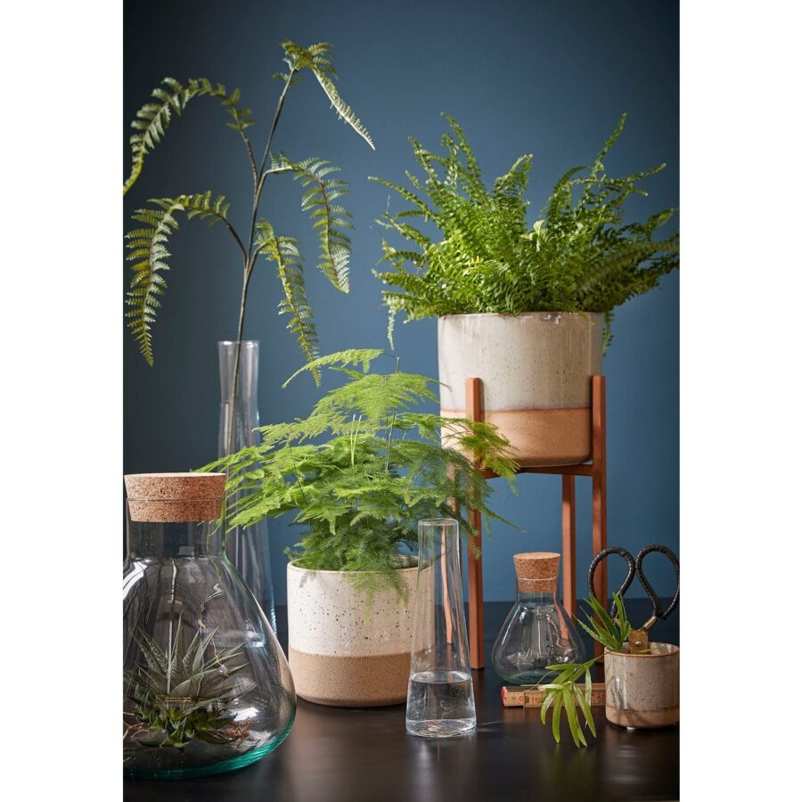 Emily Voorraadpot - H25 x Ø23 cm - Gerecycled Glas - Transparant - Afbeelding 9