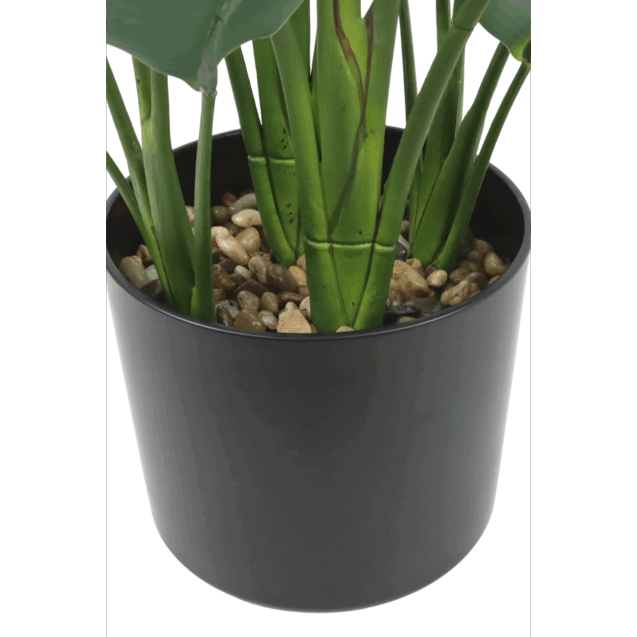 Strelitzia Kunstplant 70cm - Afbeelding 3