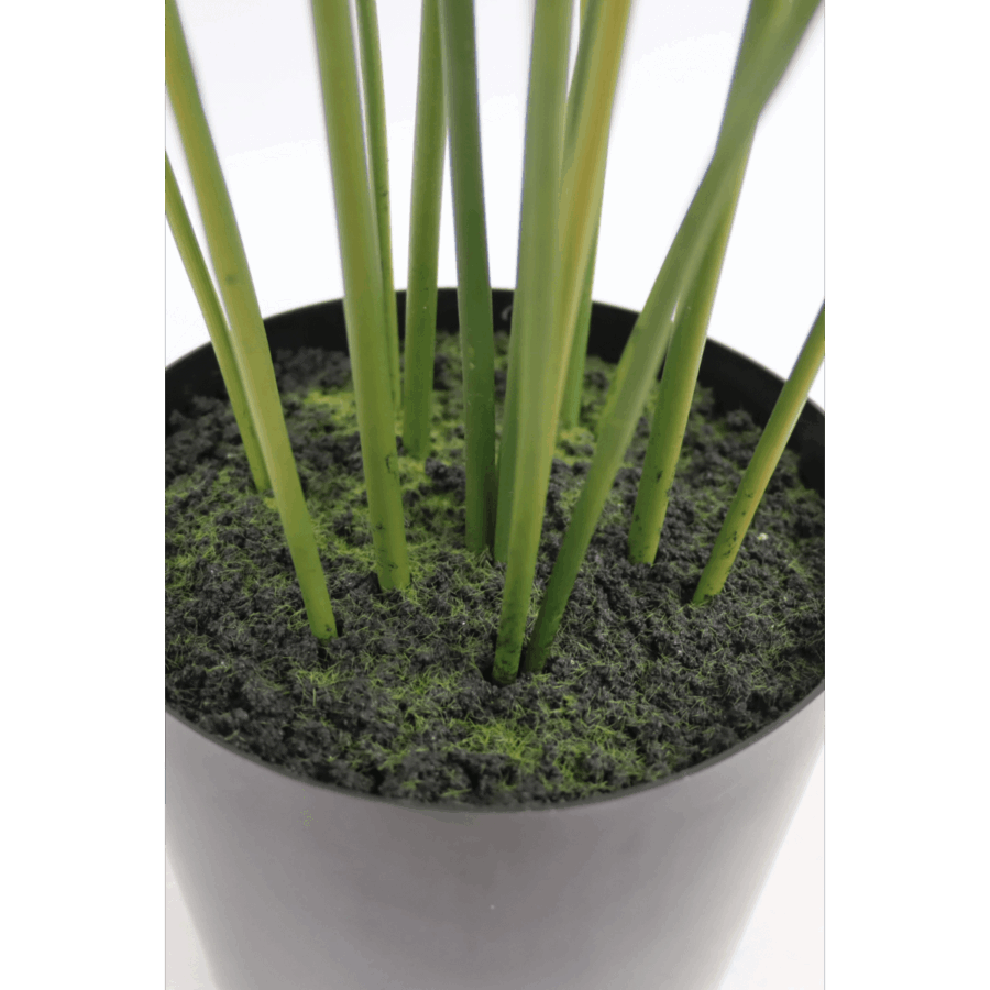 Kunstpalm 120cm - Afbeelding 5