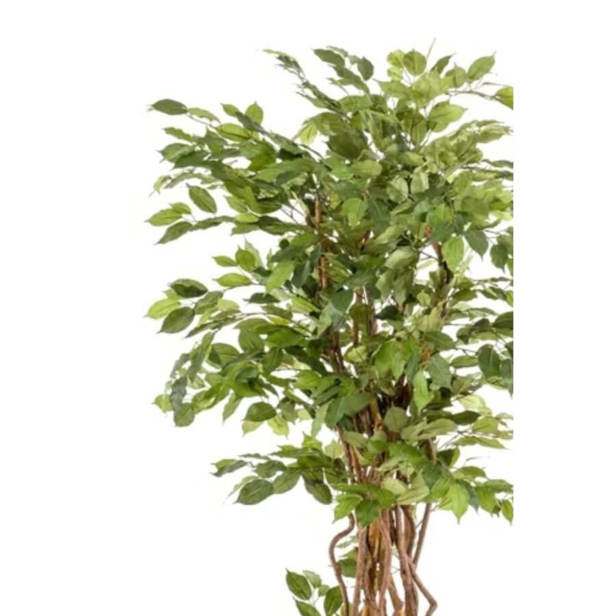 Ficus Liana Kunstboom 170cm - Afbeelding 4