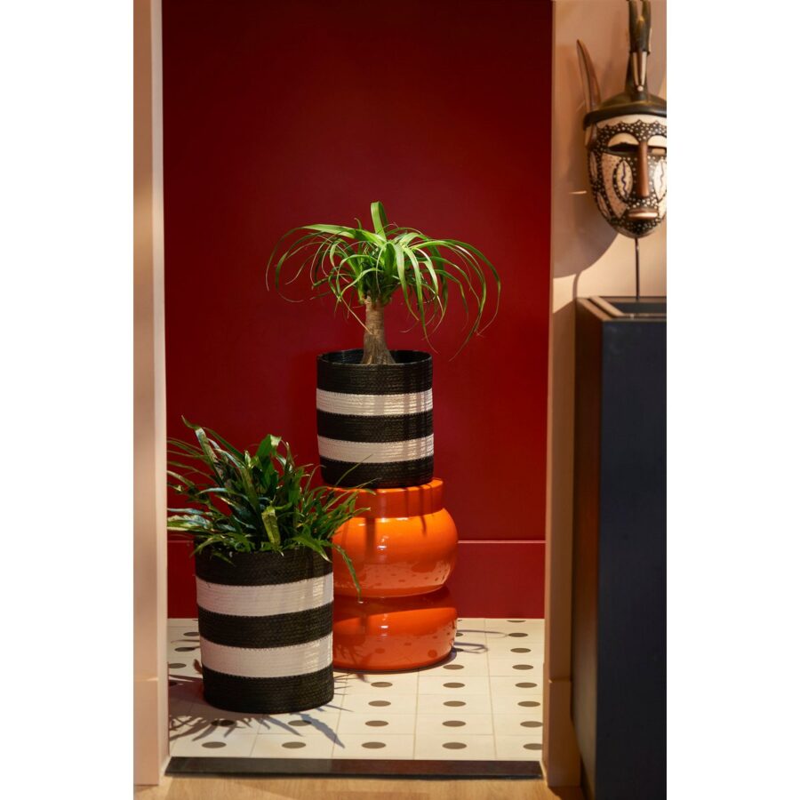 Nacho Mand - Set van 2 - H34 x Ø29 - FSC Mix - Zwart, Wit - Afbeelding 2