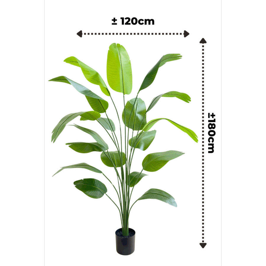 Kunst Bananenplant 180cm - Afbeelding 4