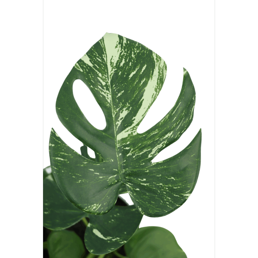 Monstera Kunstplant 40cm - Afbeelding 4
