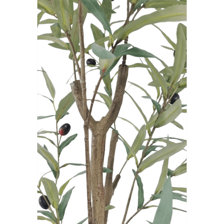 Kunst Olijfboom 150cm - Afbeelding 7