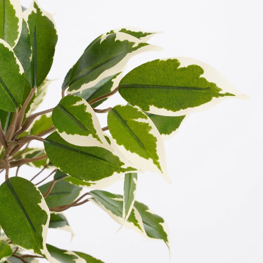 Ficus Natasja Kunstplant in Bloempot Stan - H40 x Ø30 cm - Groen Bont - Afbeelding 2