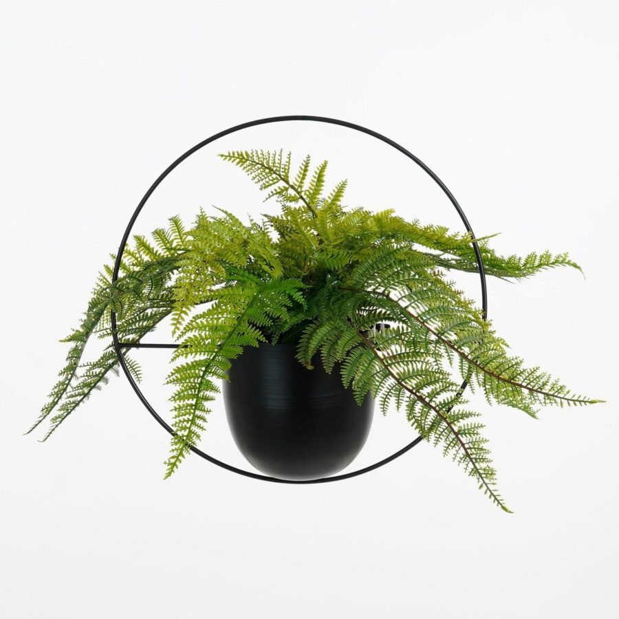 Dexter Bloempot Wand - L34 x B14 x H34 cm - Zwart - Afbeelding 4