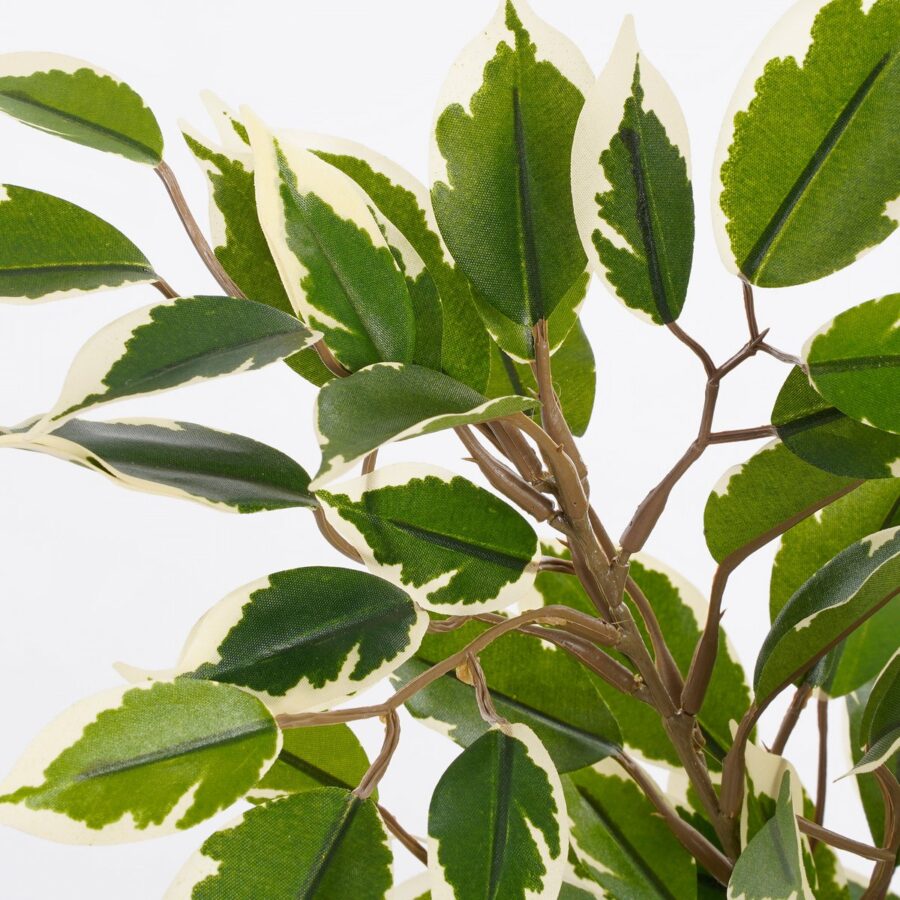 Ficus Natasja Kunstplant in Bloempot Stan - H40 x Ø30 cm - Groen Bont - Afbeelding 3
