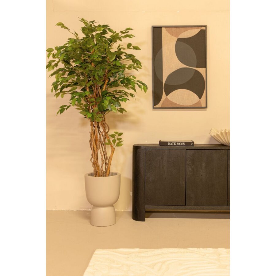 Ficus Liana Kunstboom 170cm - Afbeelding 2