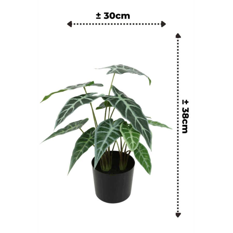 Caladium Kunstplant 38cm - Afbeelding 3
