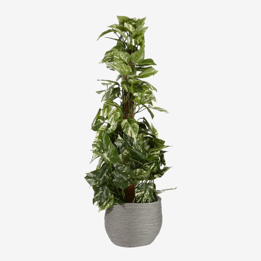 Jorck Plantenmand - Set van 3 - H24 x Ø26 cm - Papier - Grijs - Afbeelding 3