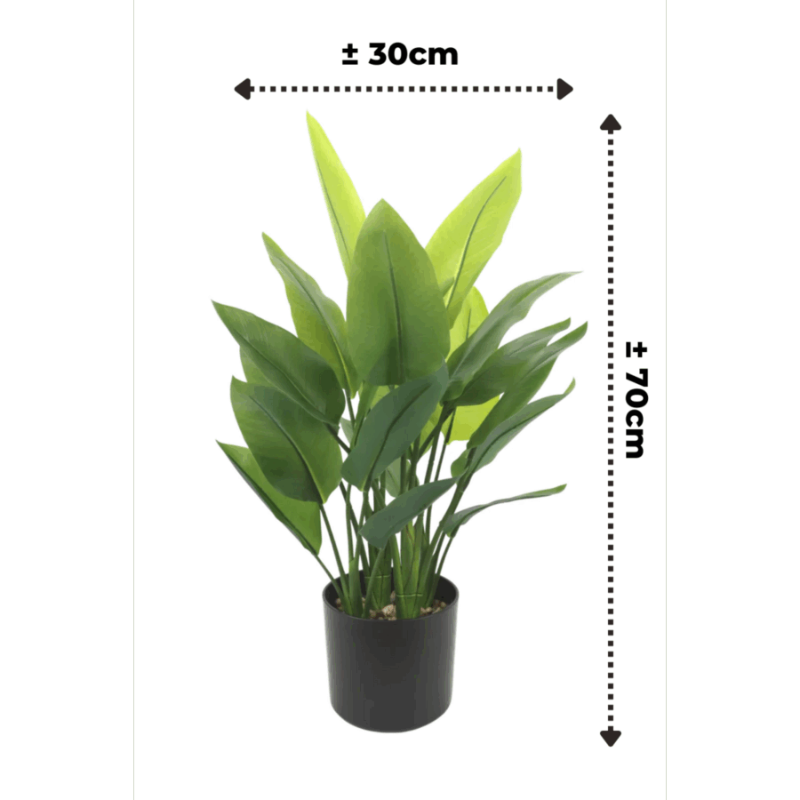 Strelitzia Kunstplant 70cm - Afbeelding 2