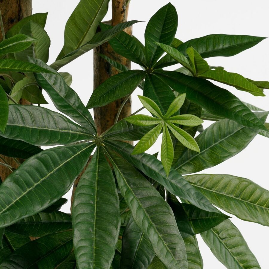 Pachira Kunstplant - H175 x Ø85 cm - Groen - Afbeelding 2