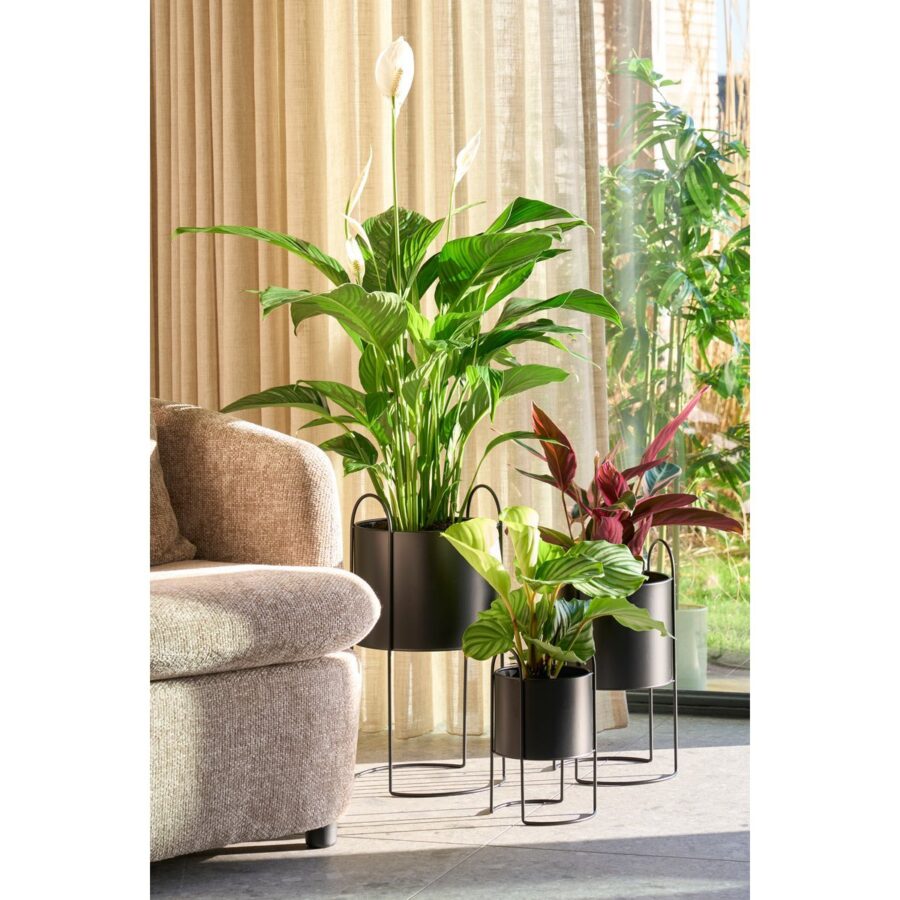 Petry Bloempot op Standaard - Set van 3 - L27 x B25 x H51 cm - Metaal - Zwart - Afbeelding 6