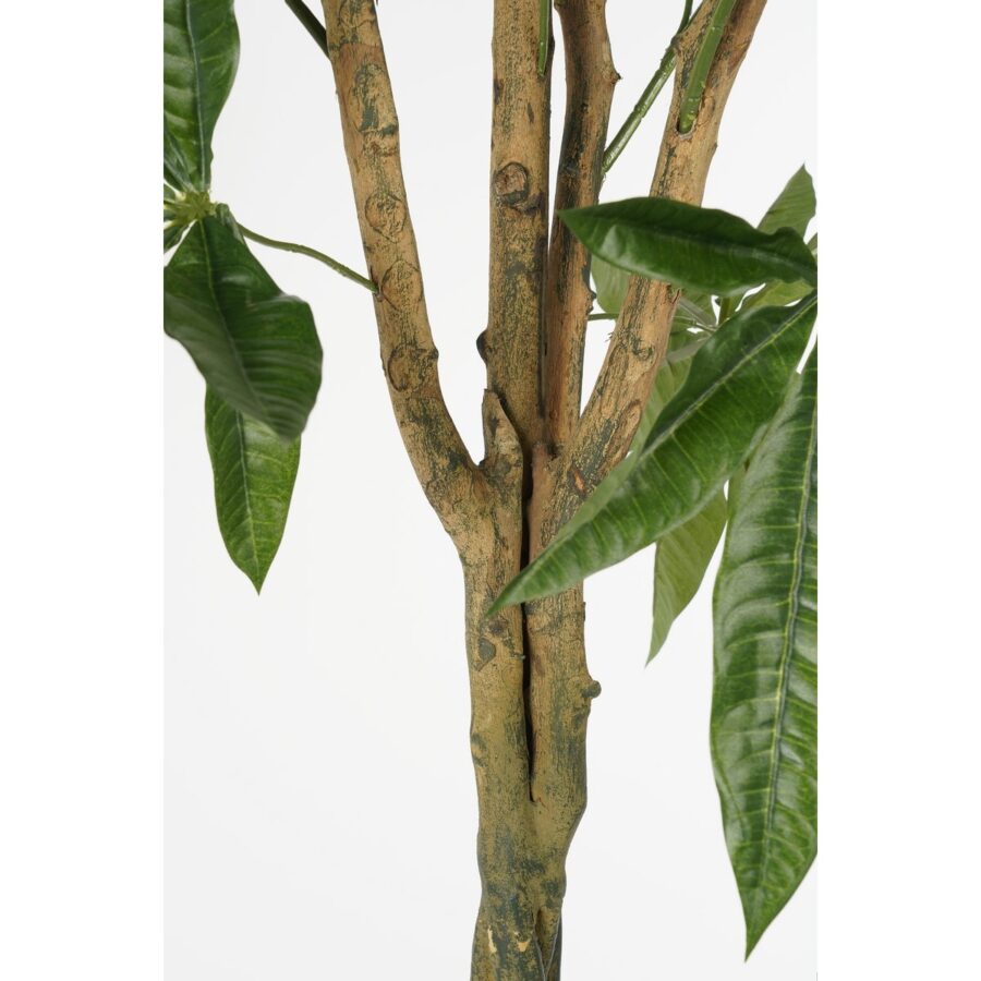 Pachira Kunstplant - H120 x Ø50 cm - Groen - Afbeelding 3