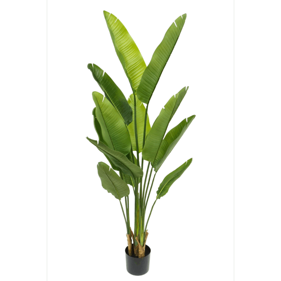 Strelitzia Kunstplant 160cm - Afbeelding 2