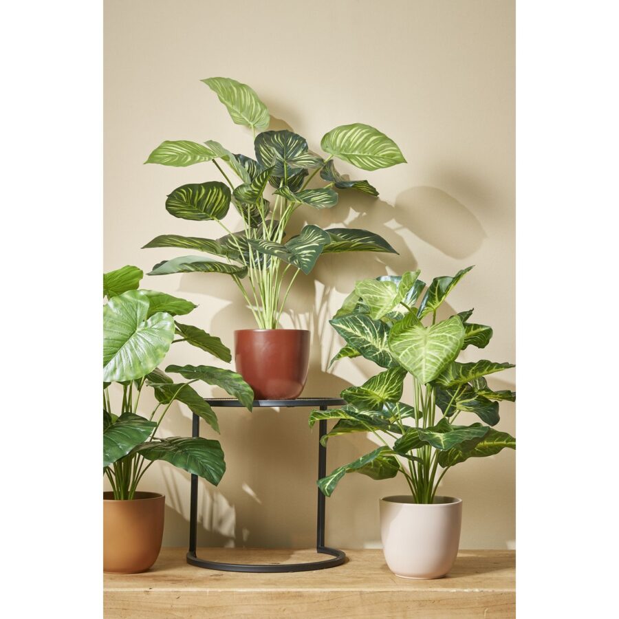 Caladium Kunstplant in Bloempot - H100 x Ø50 cm - Groen - Afbeelding 5
