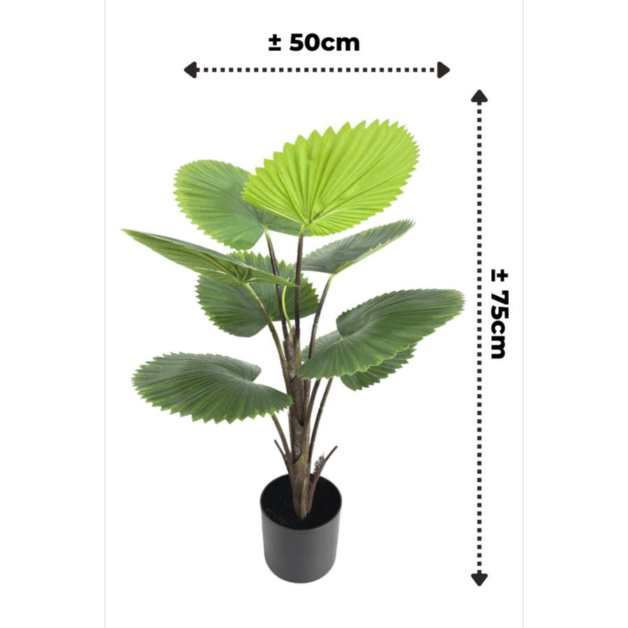 Kunst Waaierpalm 75cm - Afbeelding 4