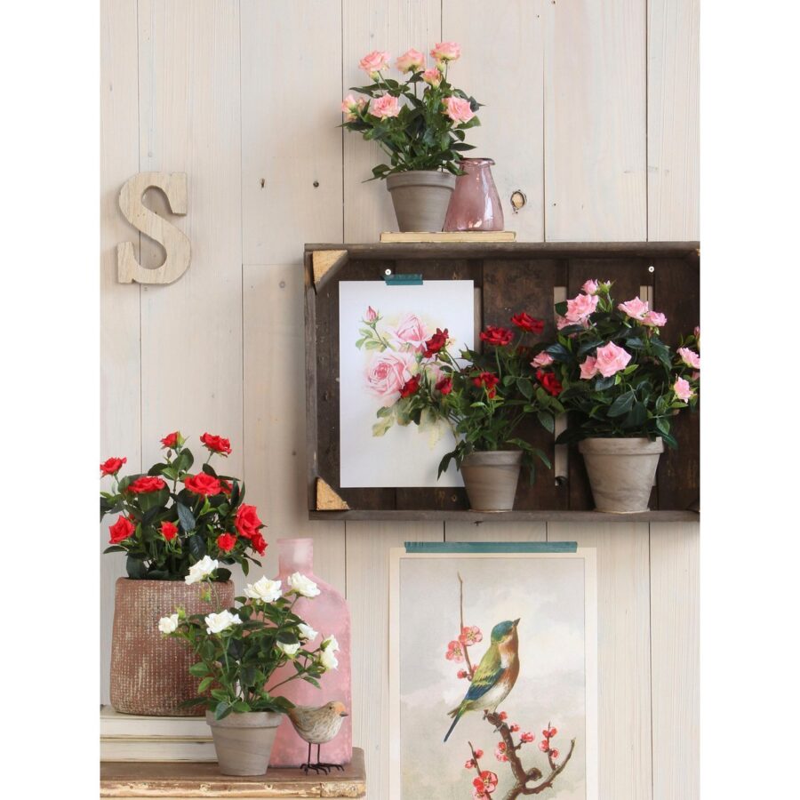 Rozenstruik Kunstplant in Bloempot Stan - H33 x Ø25 cm - Wit - Afbeelding 5