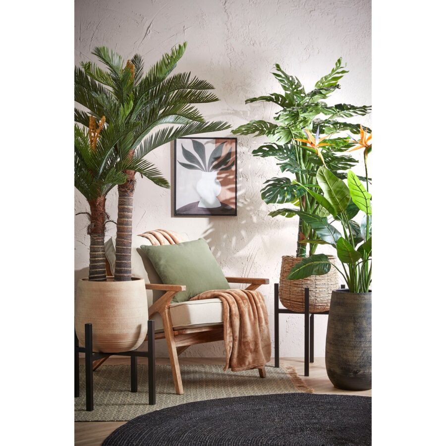 Ascot Plantenstandaard XL - L42 x B42 x H50 cm - Metaal - Zwart - Afbeelding 9