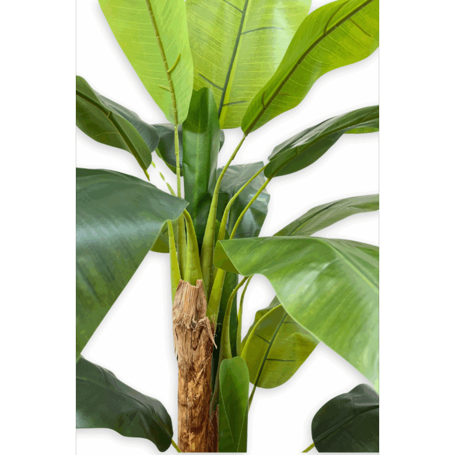 Kunst Bananenplant 180cm - Afbeelding 5