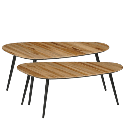 Jailey Bijzettafel - Set van 2 - L84 x B39 x H39 cm - Gerecycled Hout - Bruin