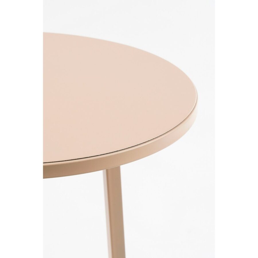 Adine Plantentafel - H80 x Ø30 cm - Metaal - Lichtroze - Afbeelding 2