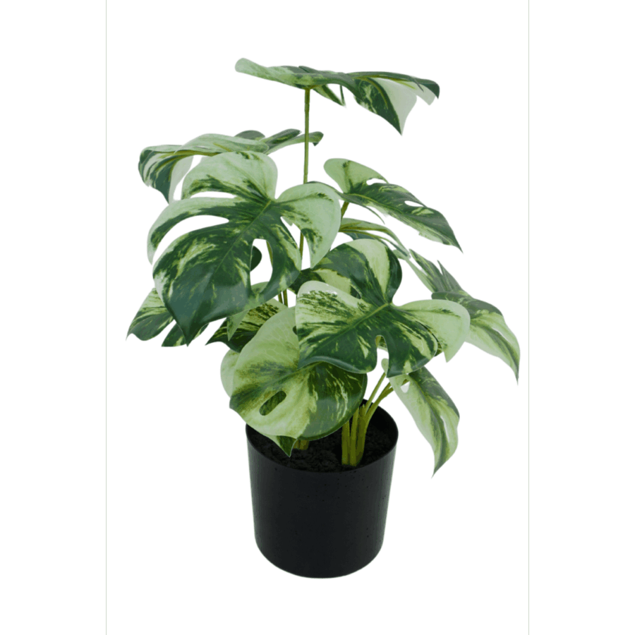 Monstera Kunstplant 40cm