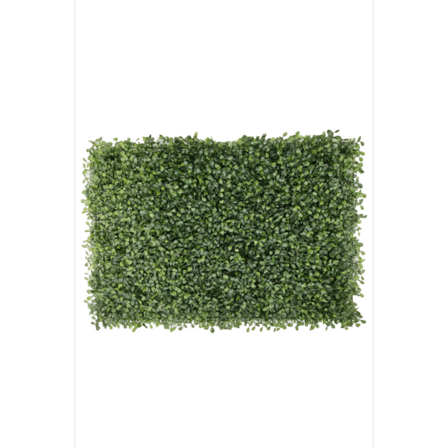 Kunsthaag Buxus Wandmat 60x40cm