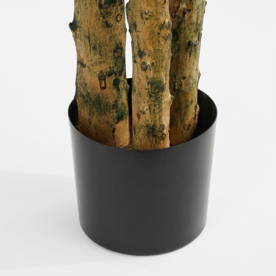 Pachira Kunstplant - H175 x Ø85 cm - Groen - Afbeelding 4