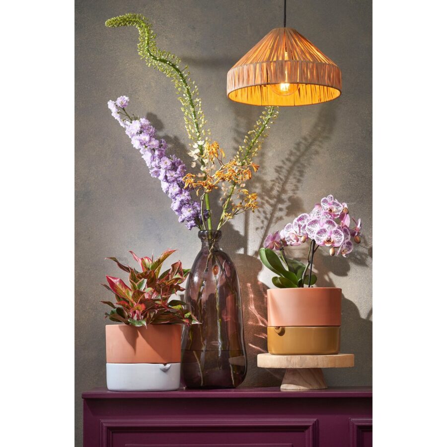 Elisa Hanglamp - H18 x Ø30 cm - Raffia - Lichtbruin - Afbeelding 6