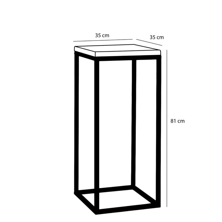 Oskar Plantentafel - L35 x B35 x H81 cm - Hout, Metaal - Zwart - Afbeelding 5