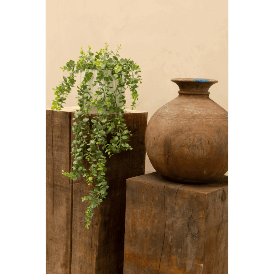 Eucalyptus Kunst Hangplant 60cm - Afbeelding 2