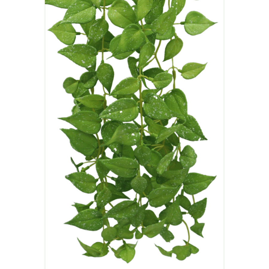 Anthurium Kunst Hangplant 65cm - Afbeelding 3